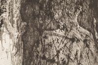 Untitled , c. 1950