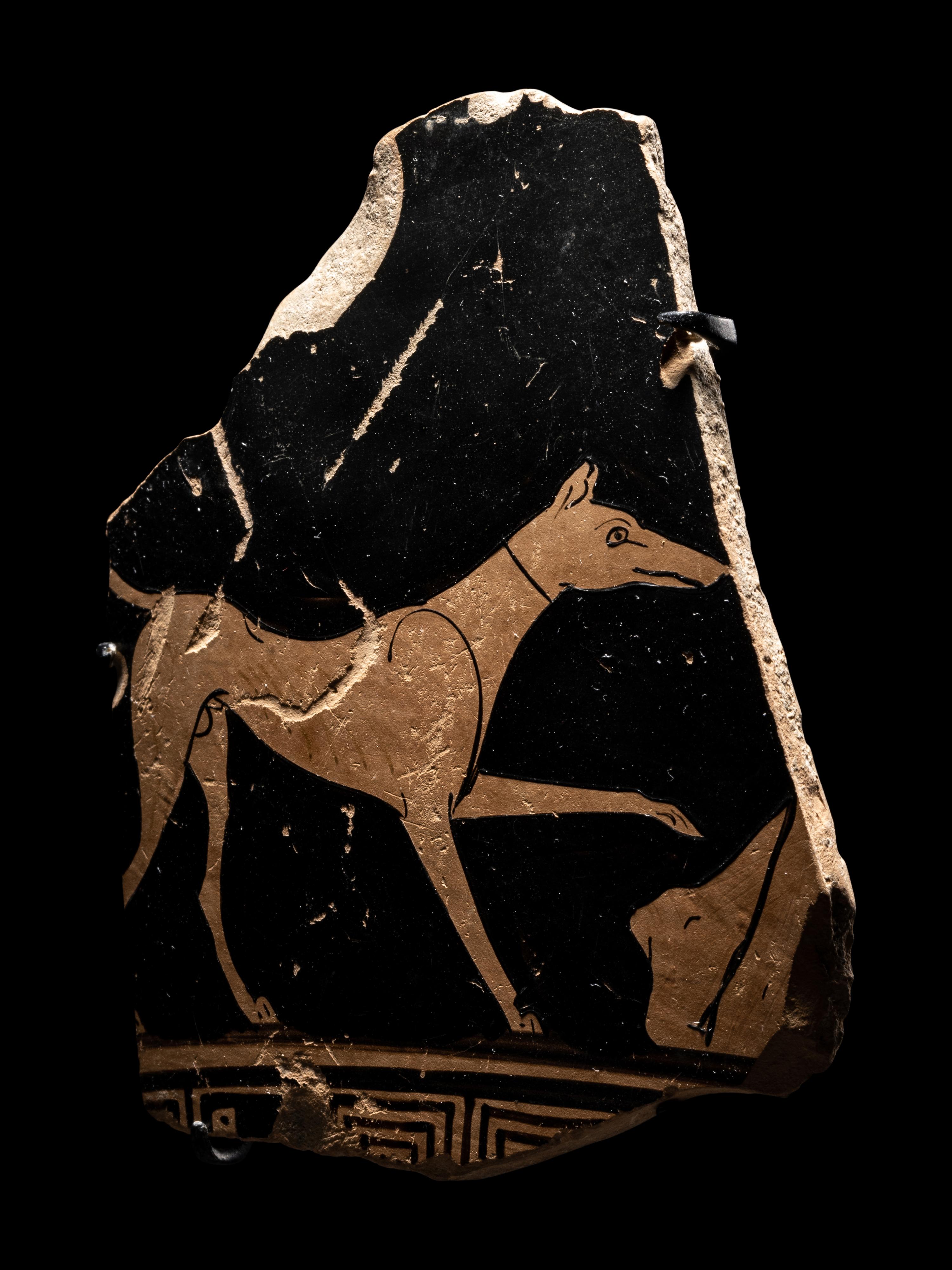 An Attic Red-Figured Skyphos Fragment with a Dog