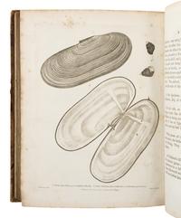 DIXON, George, Captain. (1755?-1800). A Voyage Round the World; but More Particularly to the North-West Coast of America .... London: Geo. Goulding, 1789.