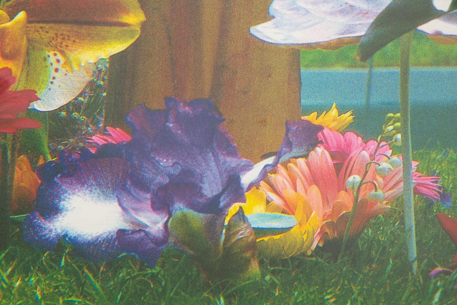 Garden² (complete portfolio of 8), 2000