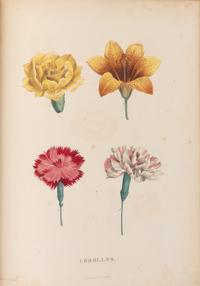 [Natural History] Rousseau, Jean Jacques. La botanique