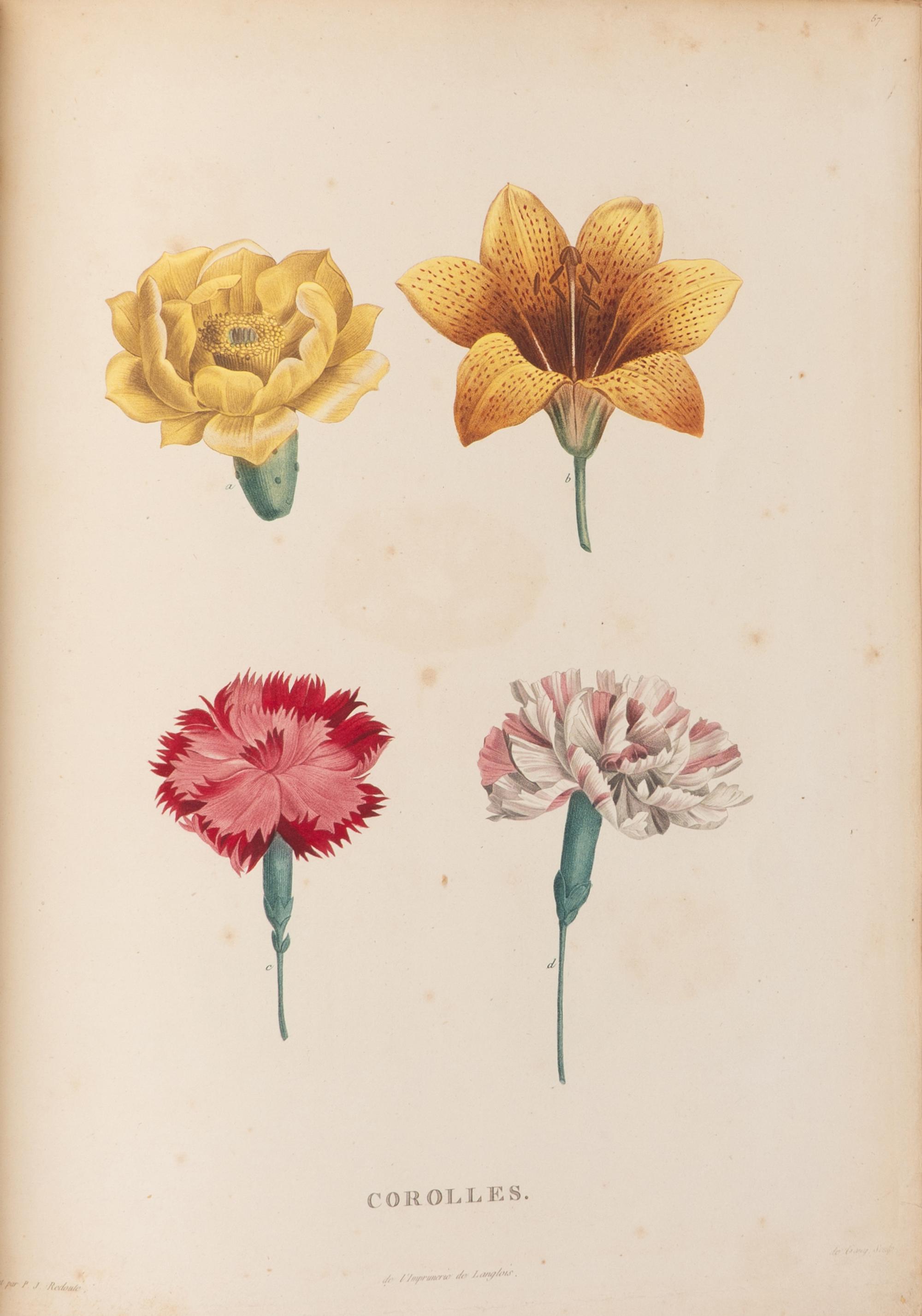 [Natural History] Rousseau, Jean Jacques. La botanique