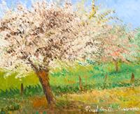 Pommier en fleurs