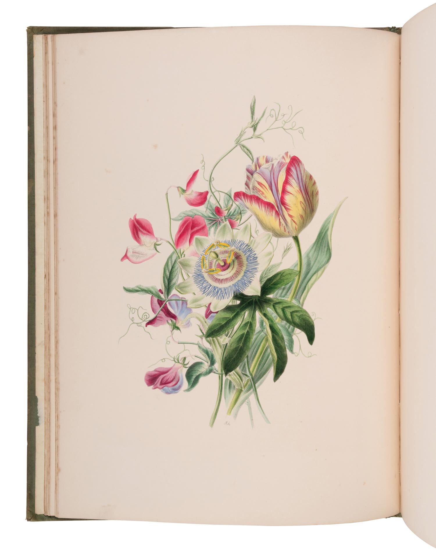 [NATURAL HISTORY]. ANDREWS, James and Louisa Anne TWAMLEY. Flora's Gems: or, The Treasures of the Parterre . London: Charles Tilt, n.d. [before 1837].