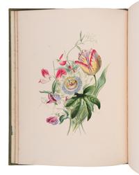 [NATURAL HISTORY]. ANDREWS, James and Louisa Anne TWAMLEY. Flora's Gems: or, The Treasures of the Parterre . London: Charles Tilt, n.d. [before 1837].