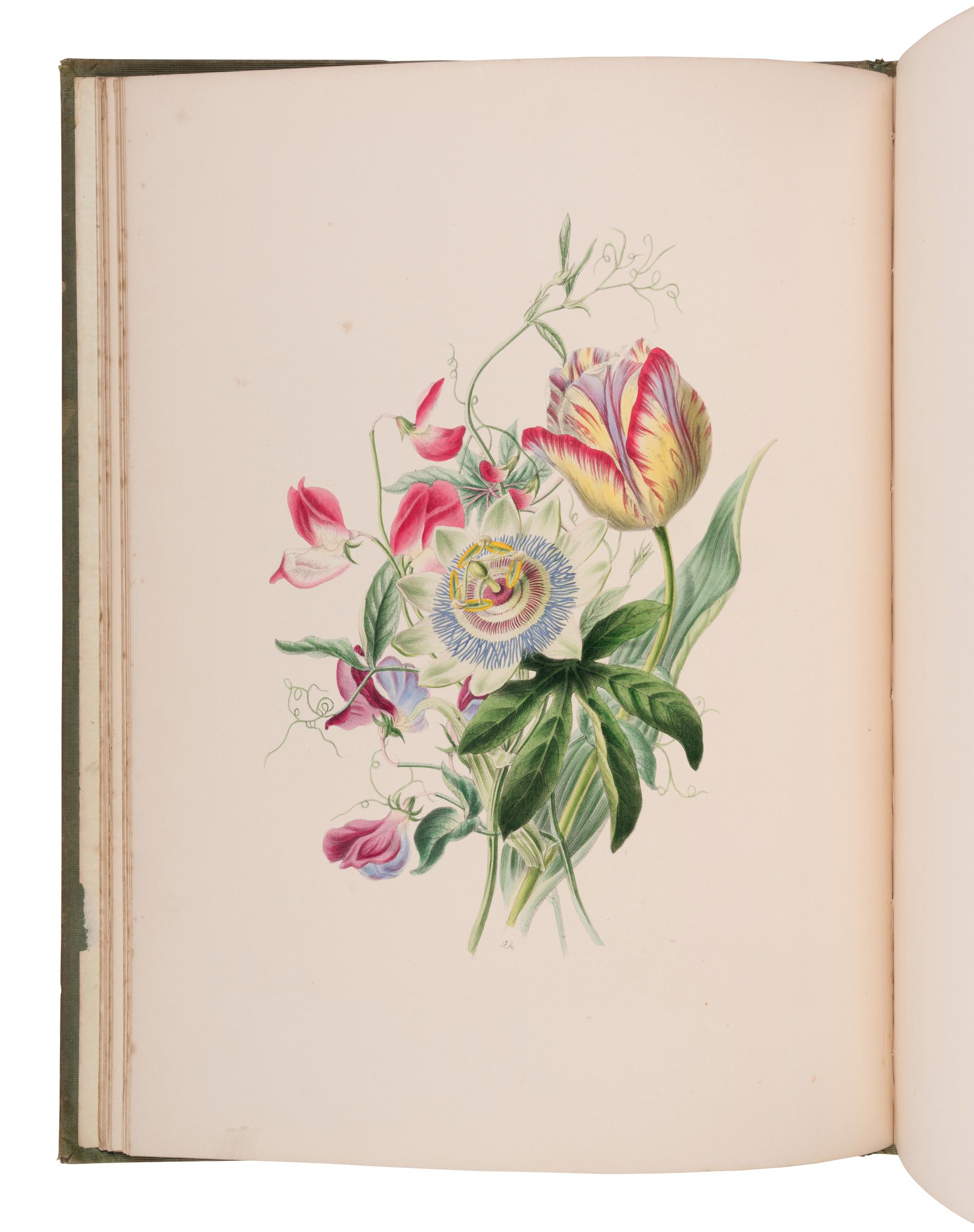 [NATURAL HISTORY]. ANDREWS, James and Louisa Anne TWAMLEY. Flora's Gems: or, The Treasures of the Parterre . London: Charles Tilt, n.d. [before 1837].