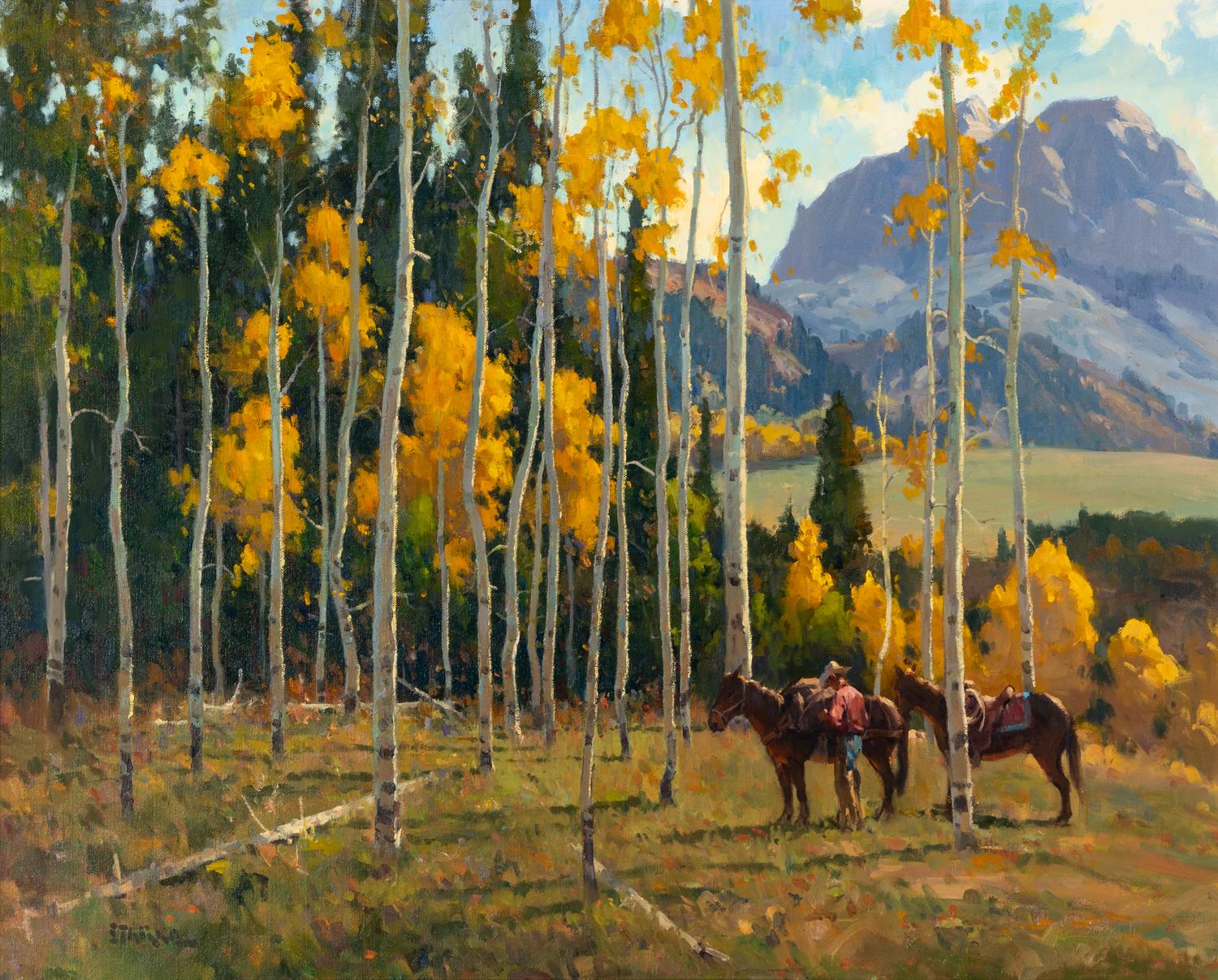 Northern Colorado Aspens