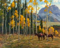 Northern Colorado Aspens