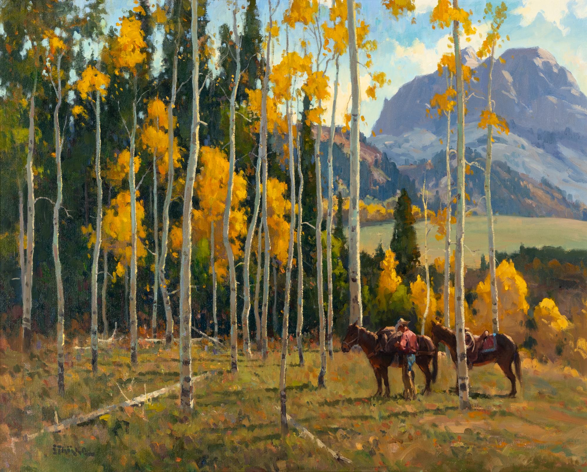 Northern Colorado Aspens
