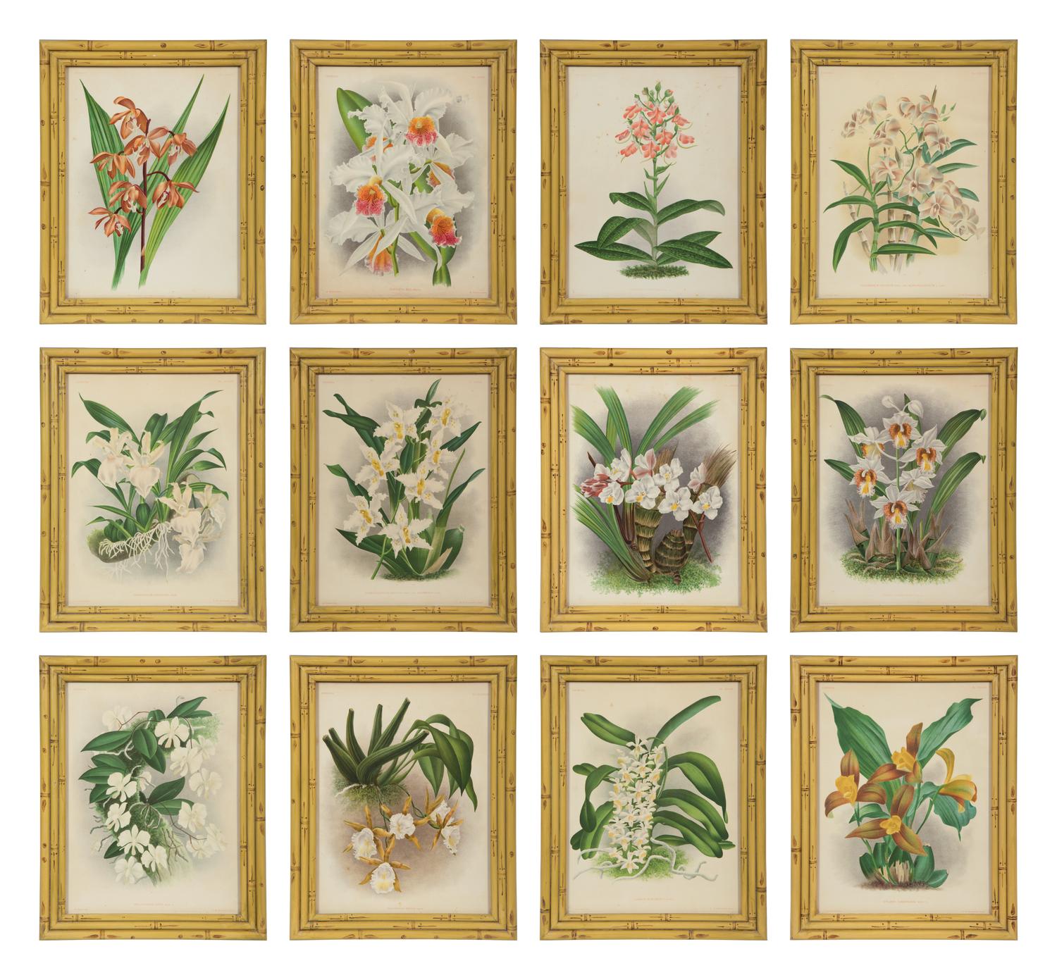 A Set of Twelve Framed Botanical Lithographs
