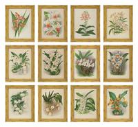 A Set of Twelve Framed Botanical Lithographs