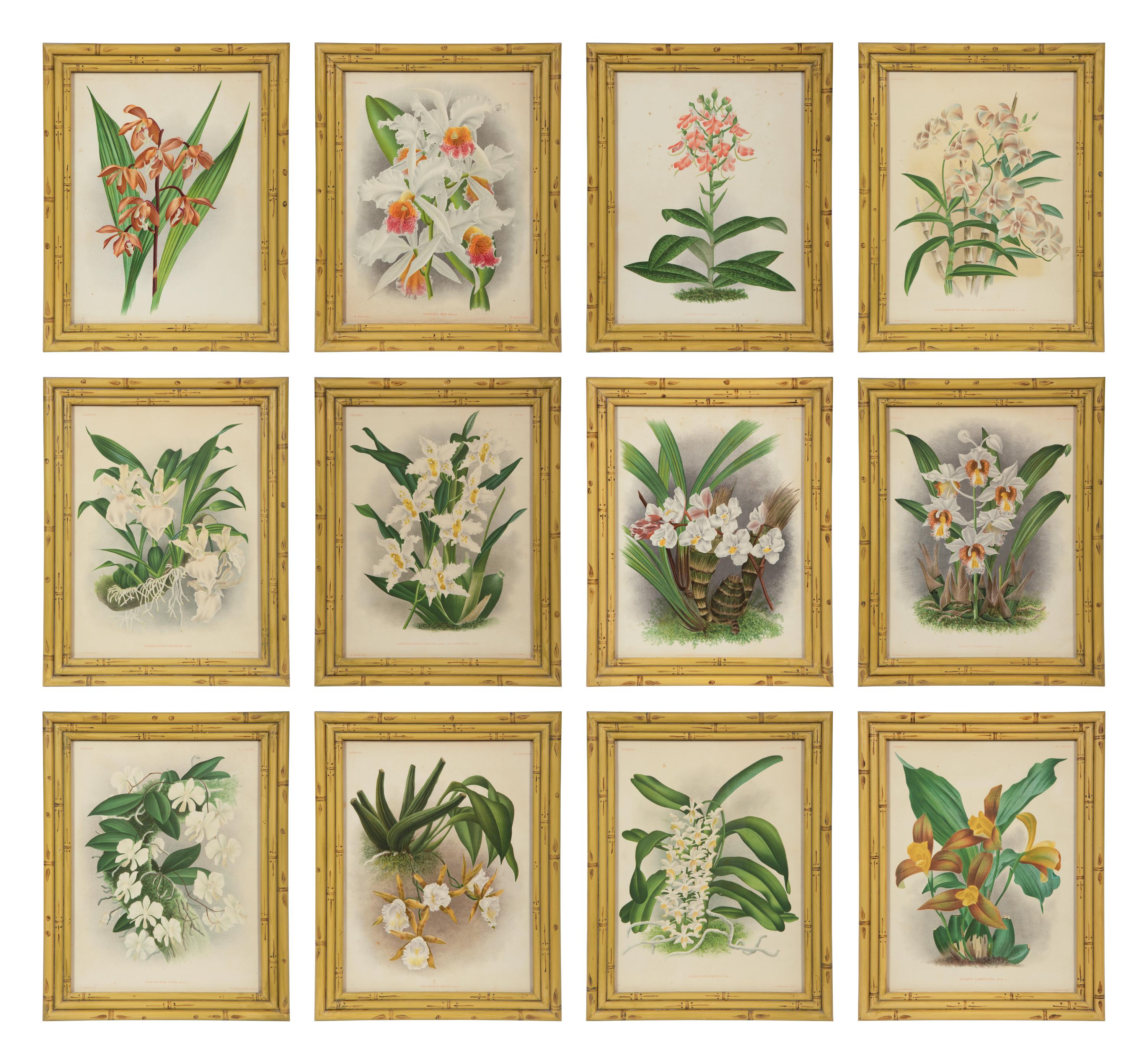 A Set of Twelve Framed Botanical Lithographs