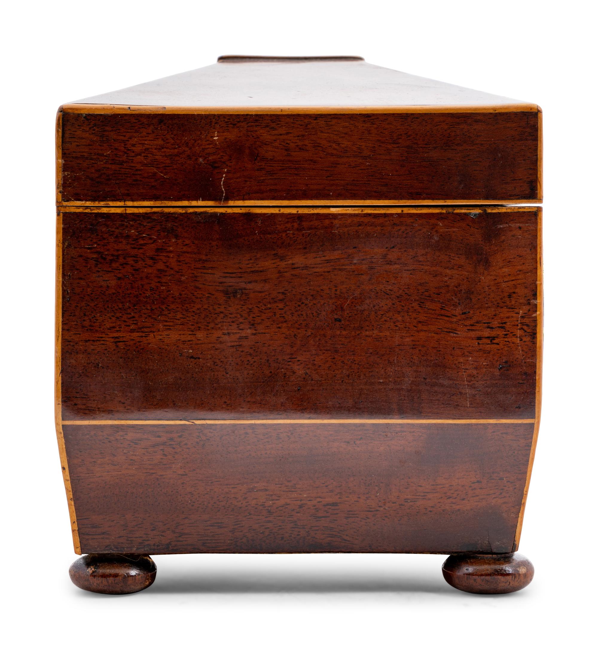 A Regency Mahogany and Satinwood Tea Caddy