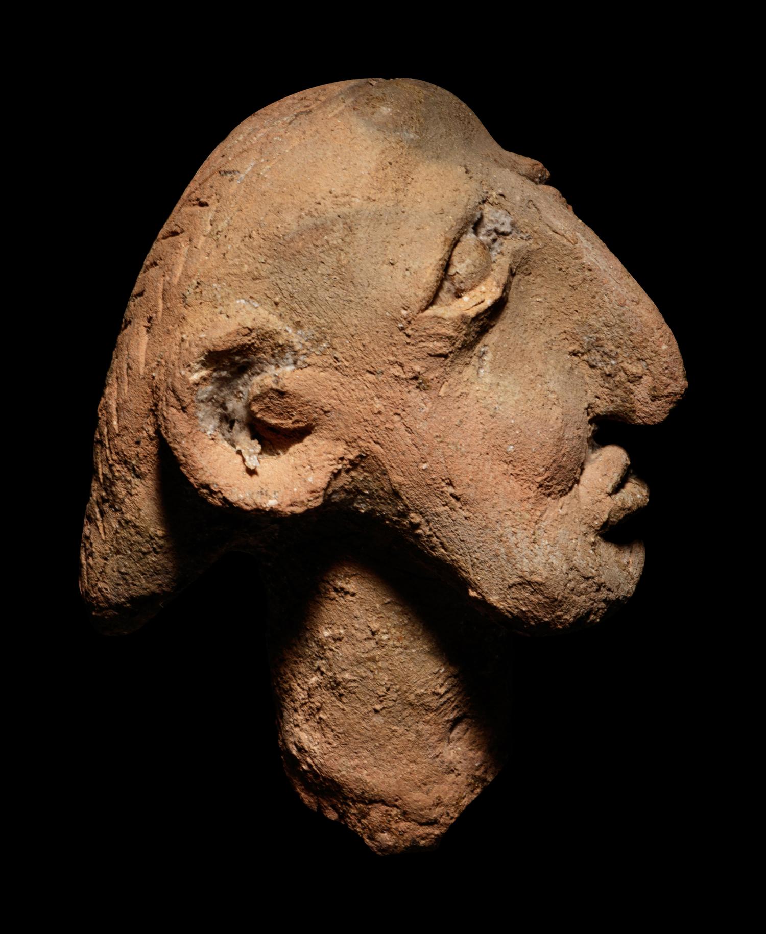 A Hellenistic Terracotta Head of a Grotesque