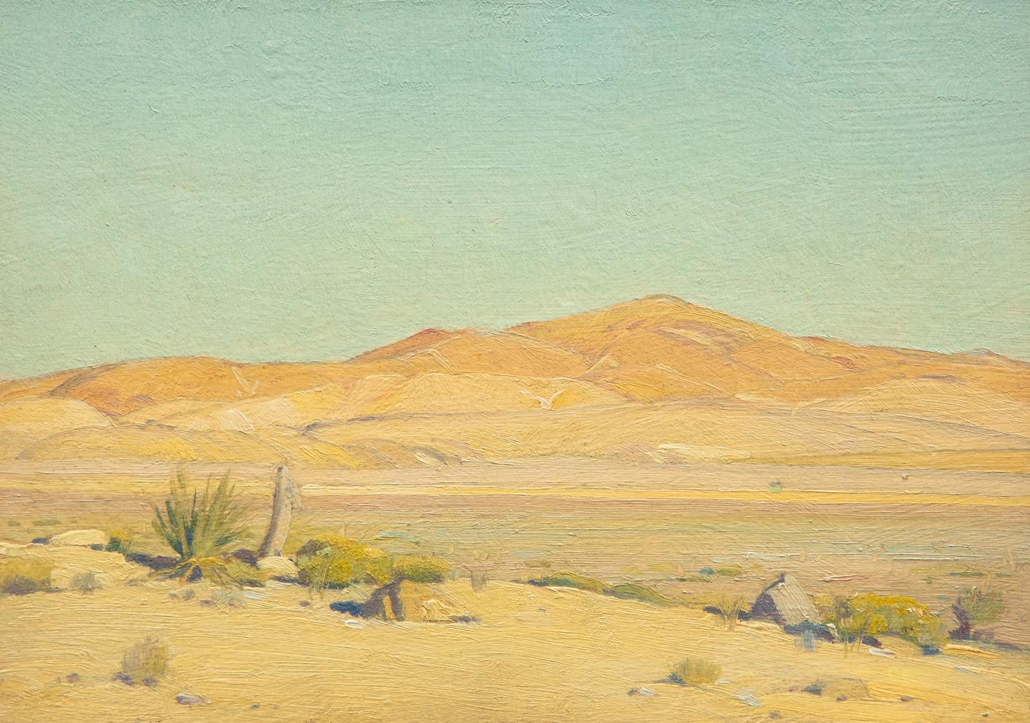 Mojave Sunlight