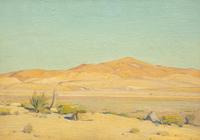 Mojave Sunlight