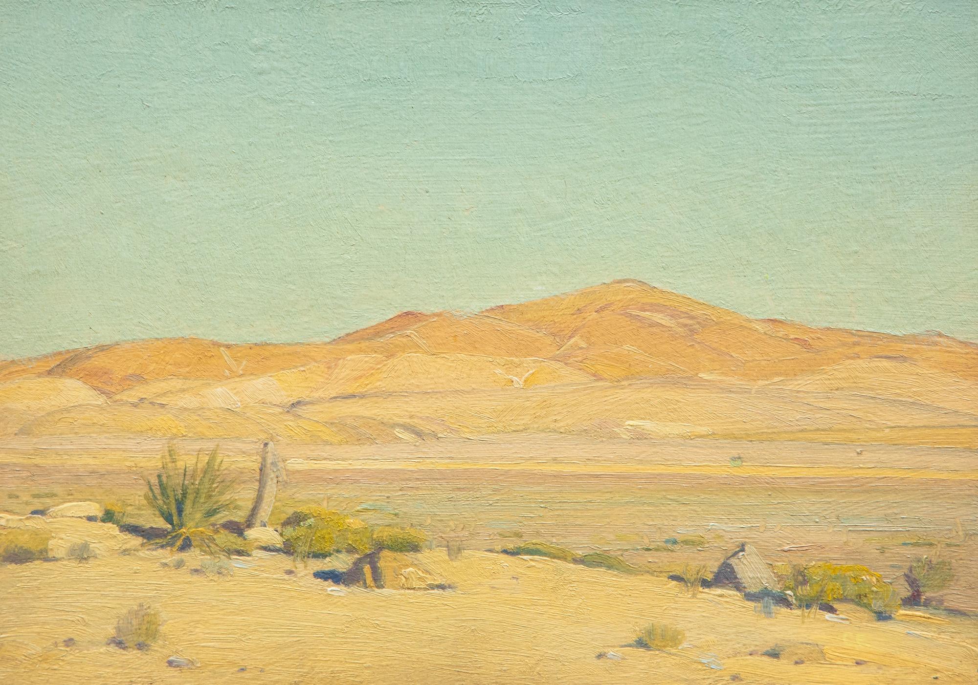 Mojave Sunlight