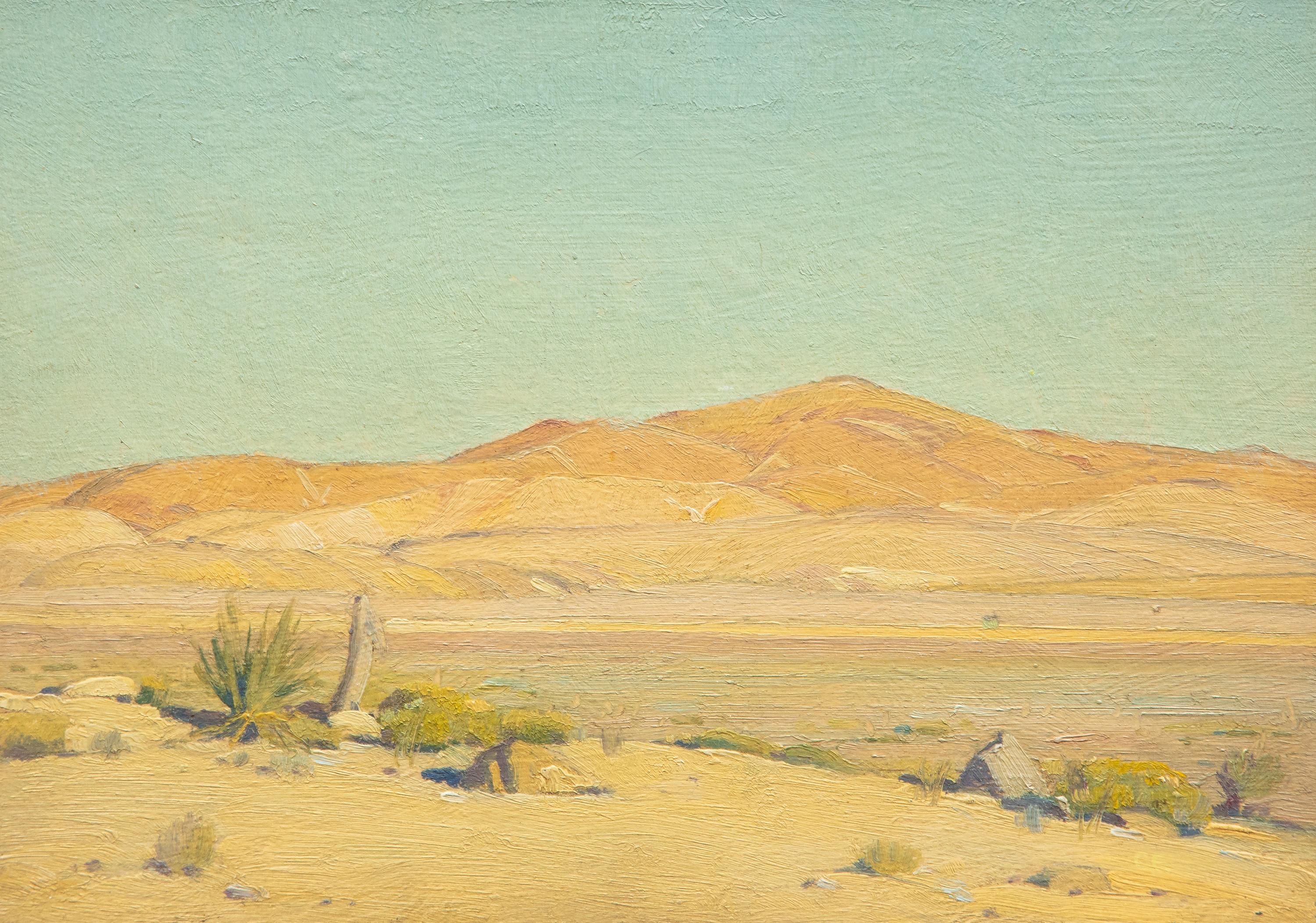 Mojave Sunlight