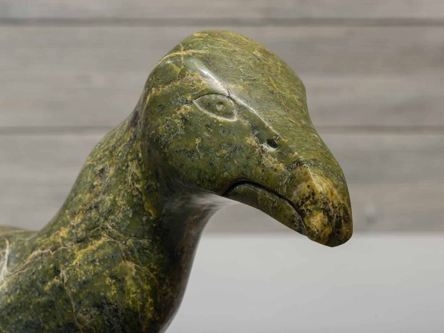 untitled, cormorant