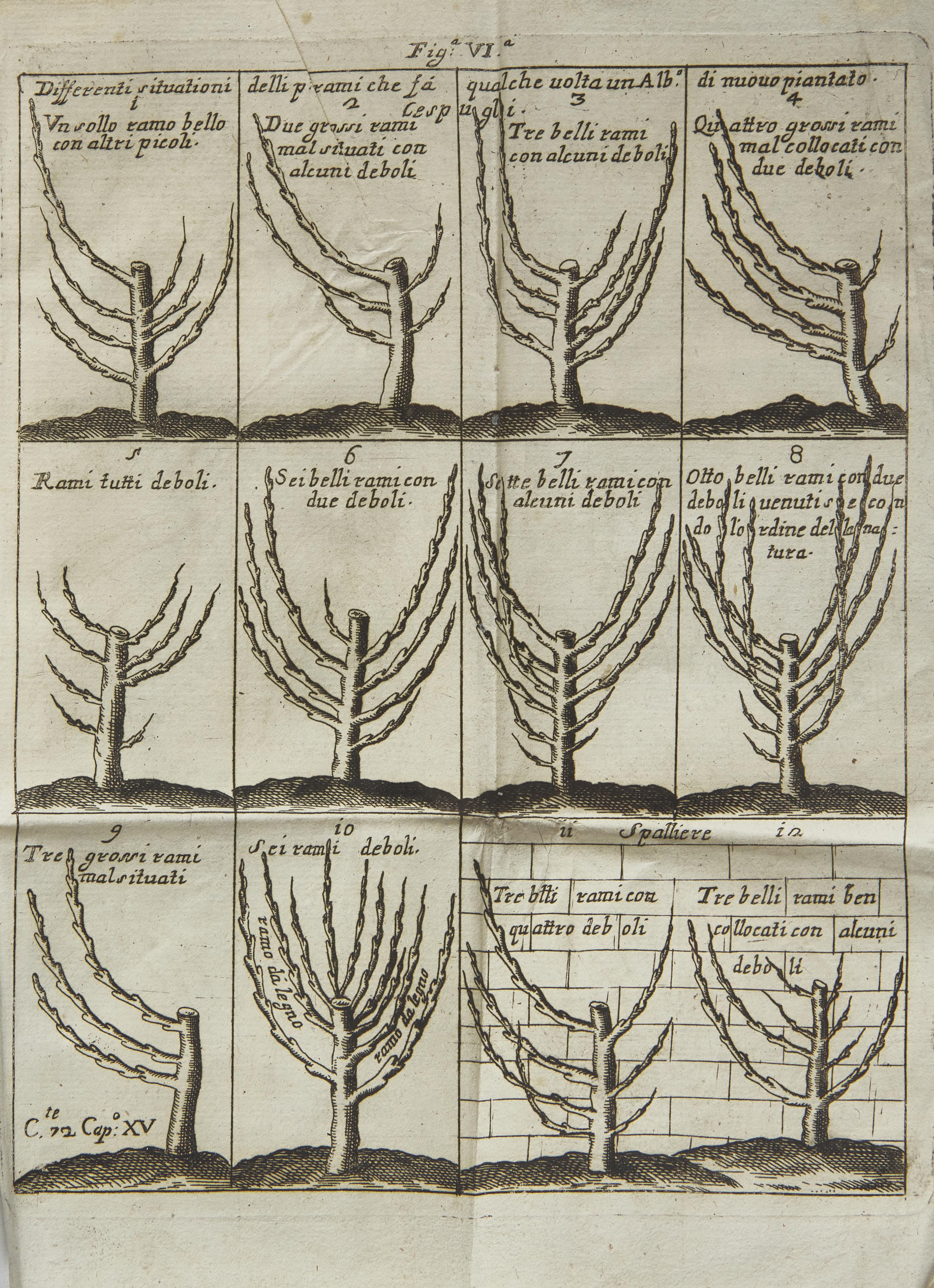 [Natural History] Quintinie, Jean de la. Trattato Del Taglio de Gl'Alberi Fruttiferi Del fu Monsu Della Quintinye...