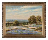 Texas Bluebonnets