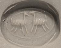 A Phoenician Hematite Scarab with Two Ibexes