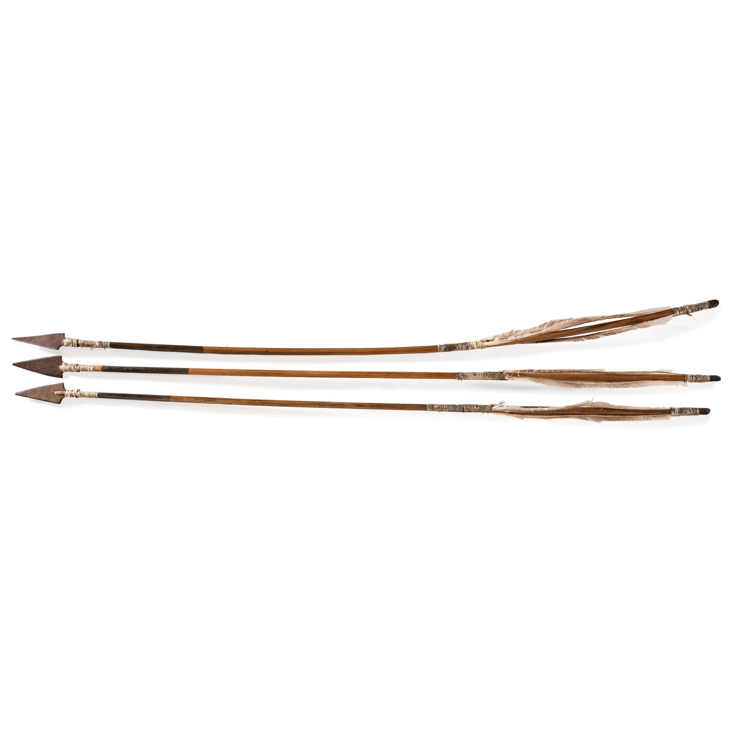 Plains Painted Plains Arrows, Matching Set