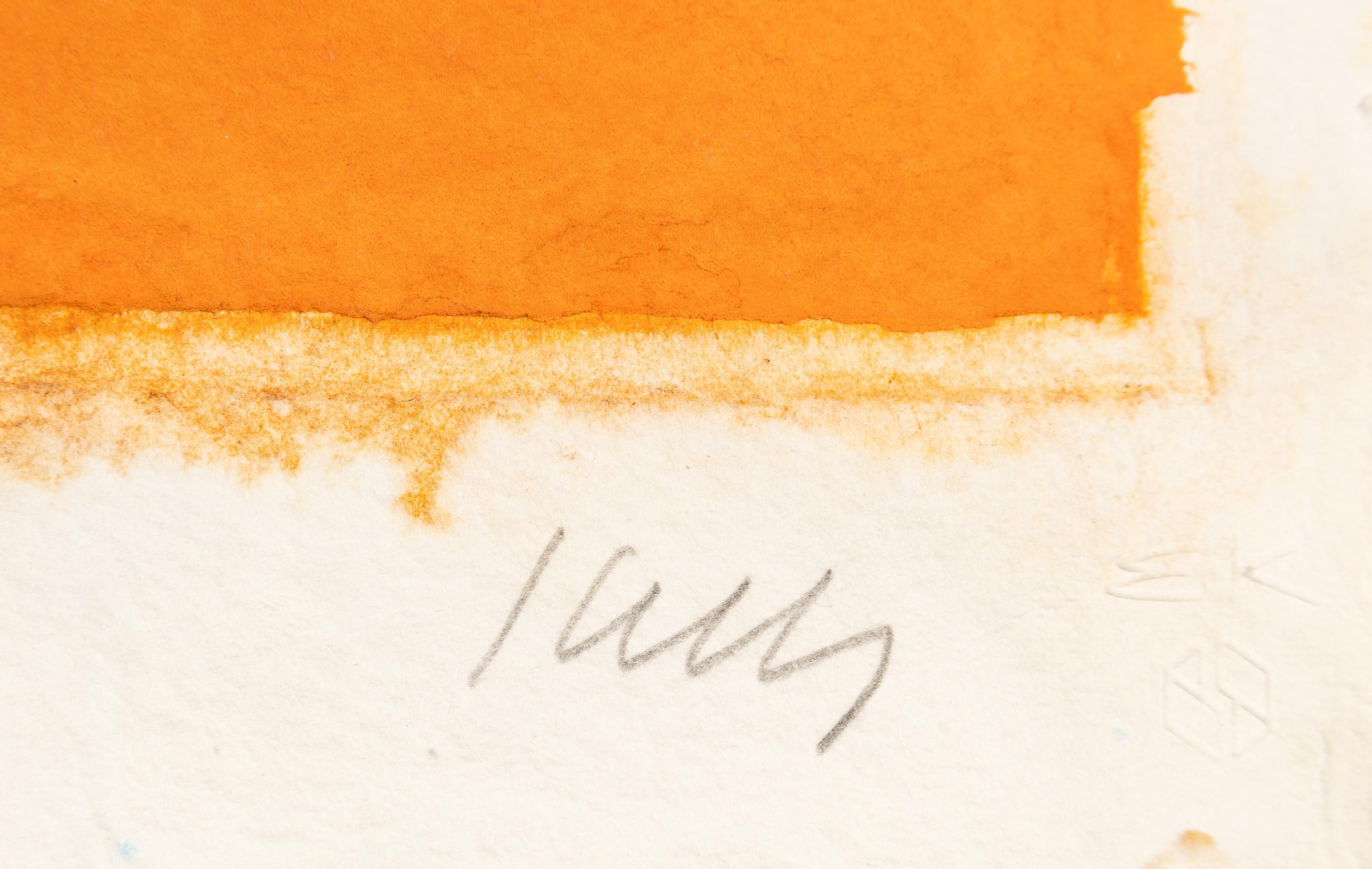 Colored Paper Image XIII (Yellow Green Black Blue Orange)