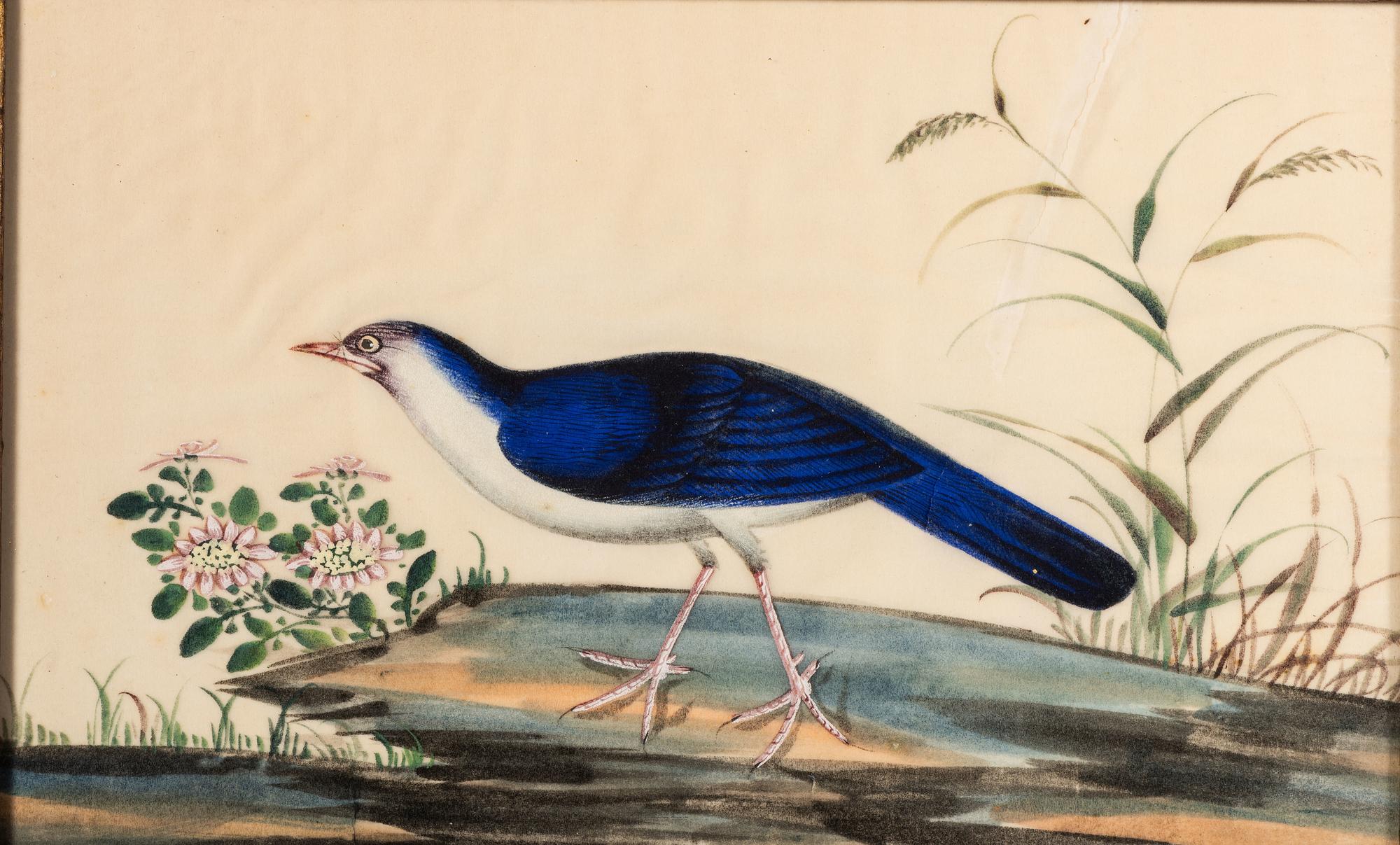 Two Chinese Export Pith Paintings of Birds