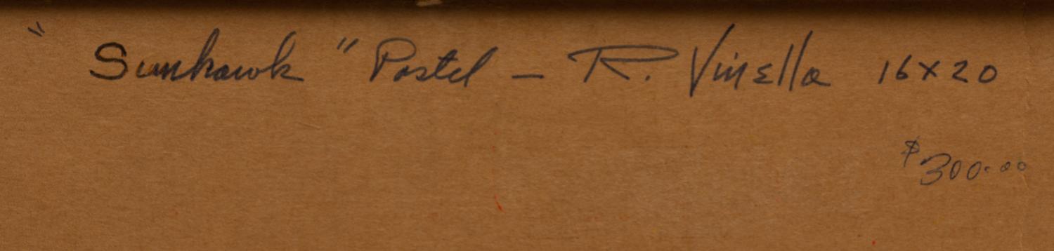 Sunhawk