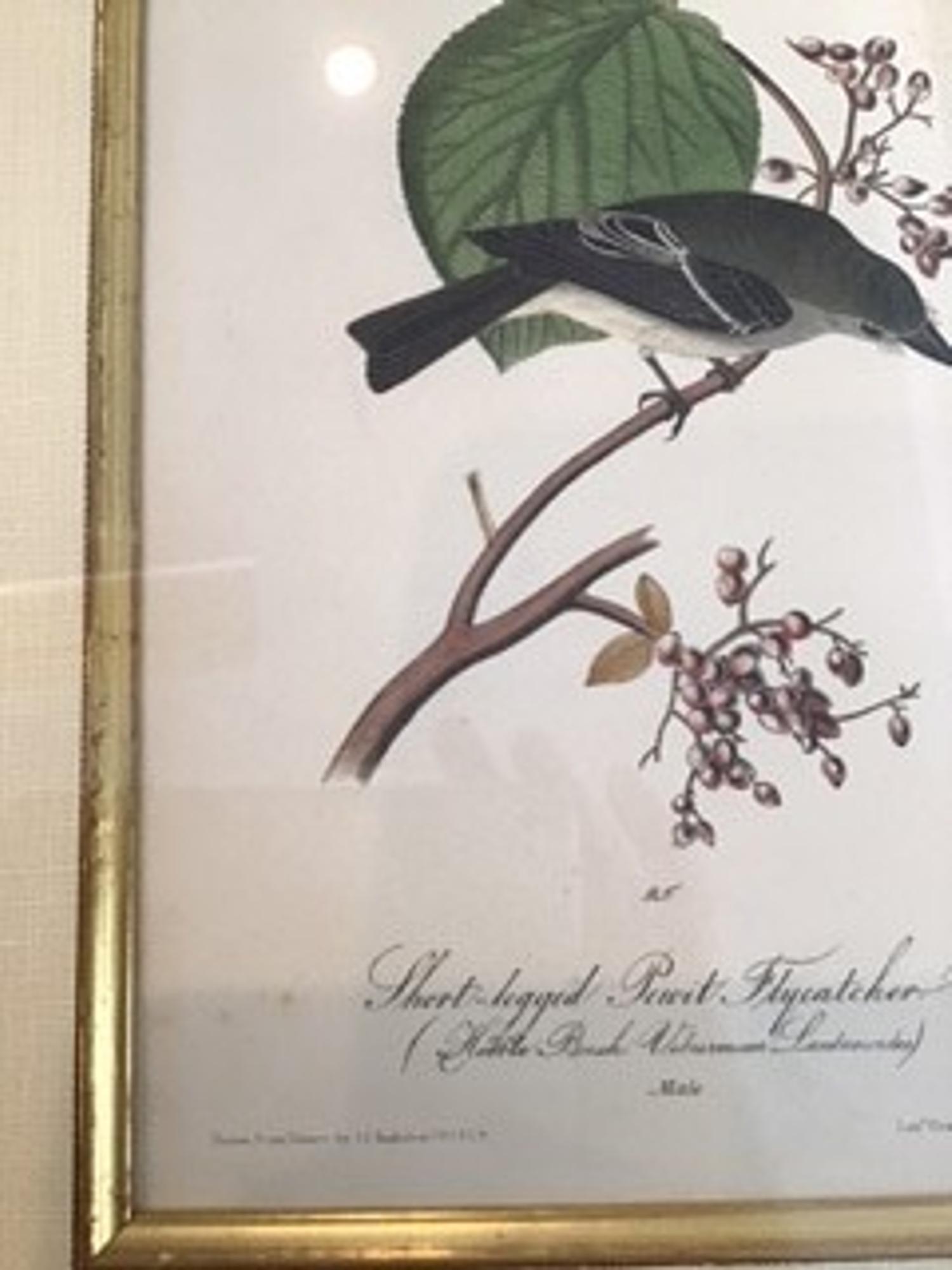 The Birds of America, Royal Octavo Edition, Bowen Edition