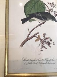The Birds of America, Royal Octavo Edition, Bowen Edition
