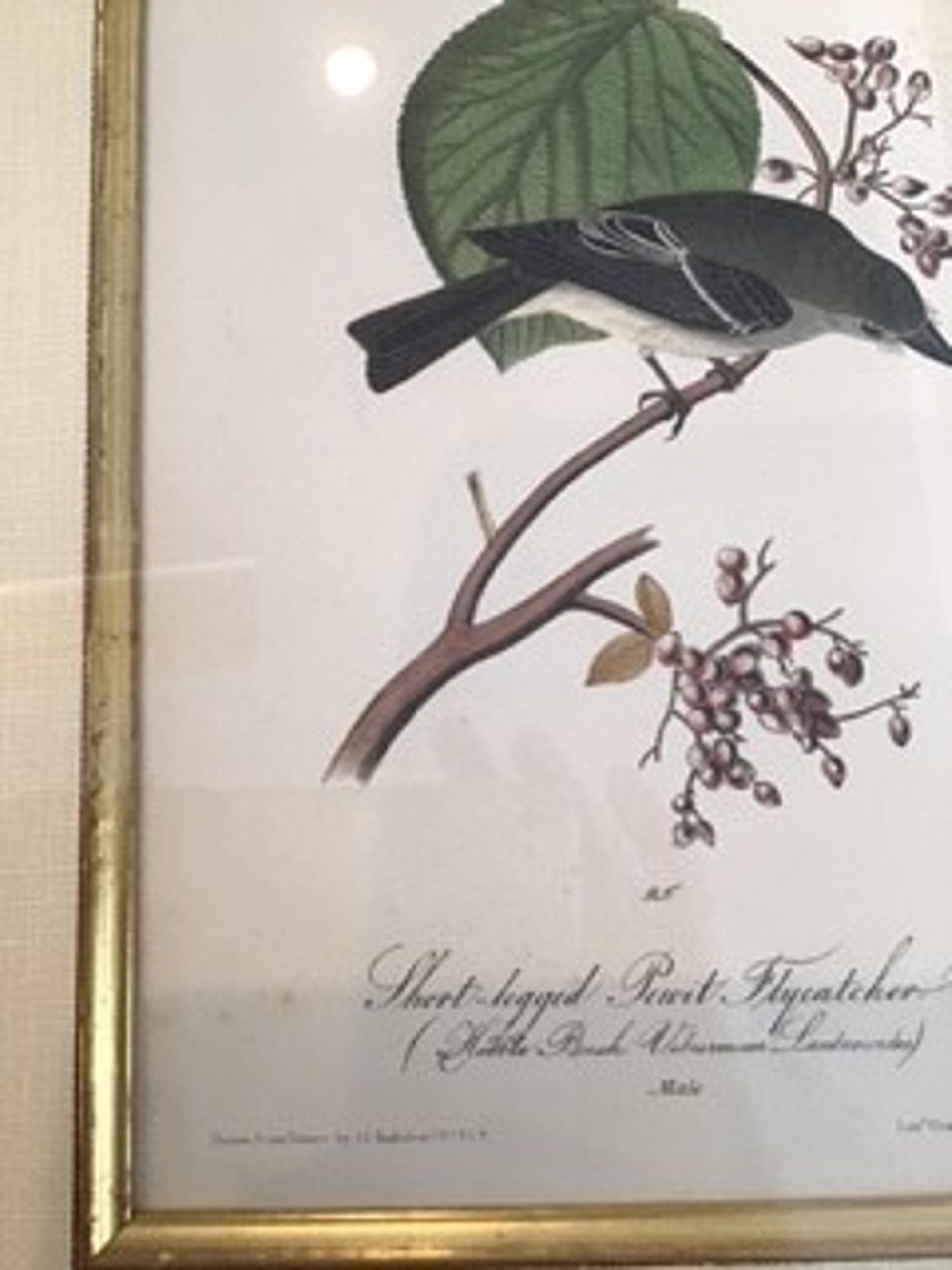 The Birds of America, Royal Octavo Edition, Bowen Edition