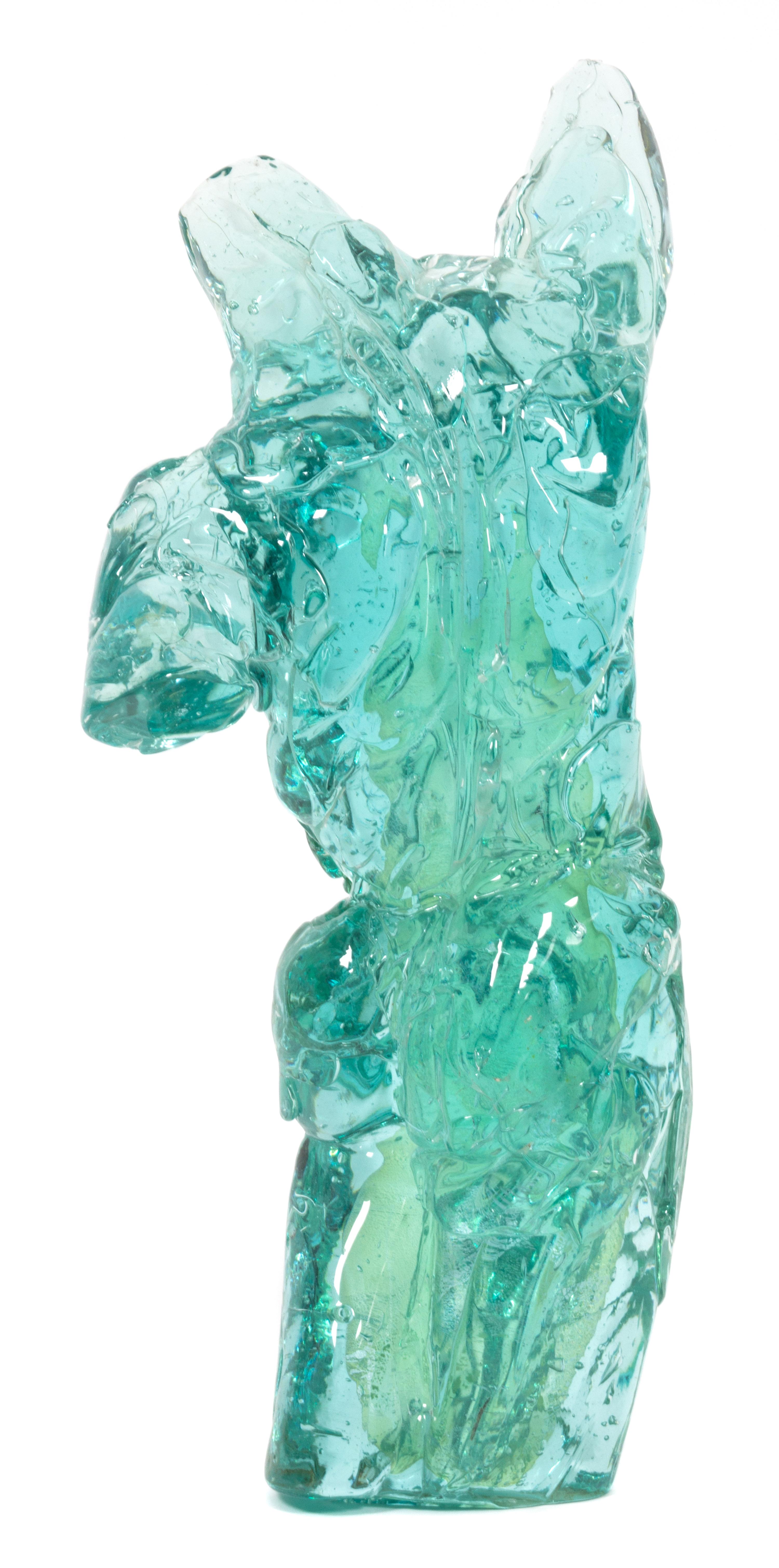 Martin Blank, (American, 1962), Male Torso