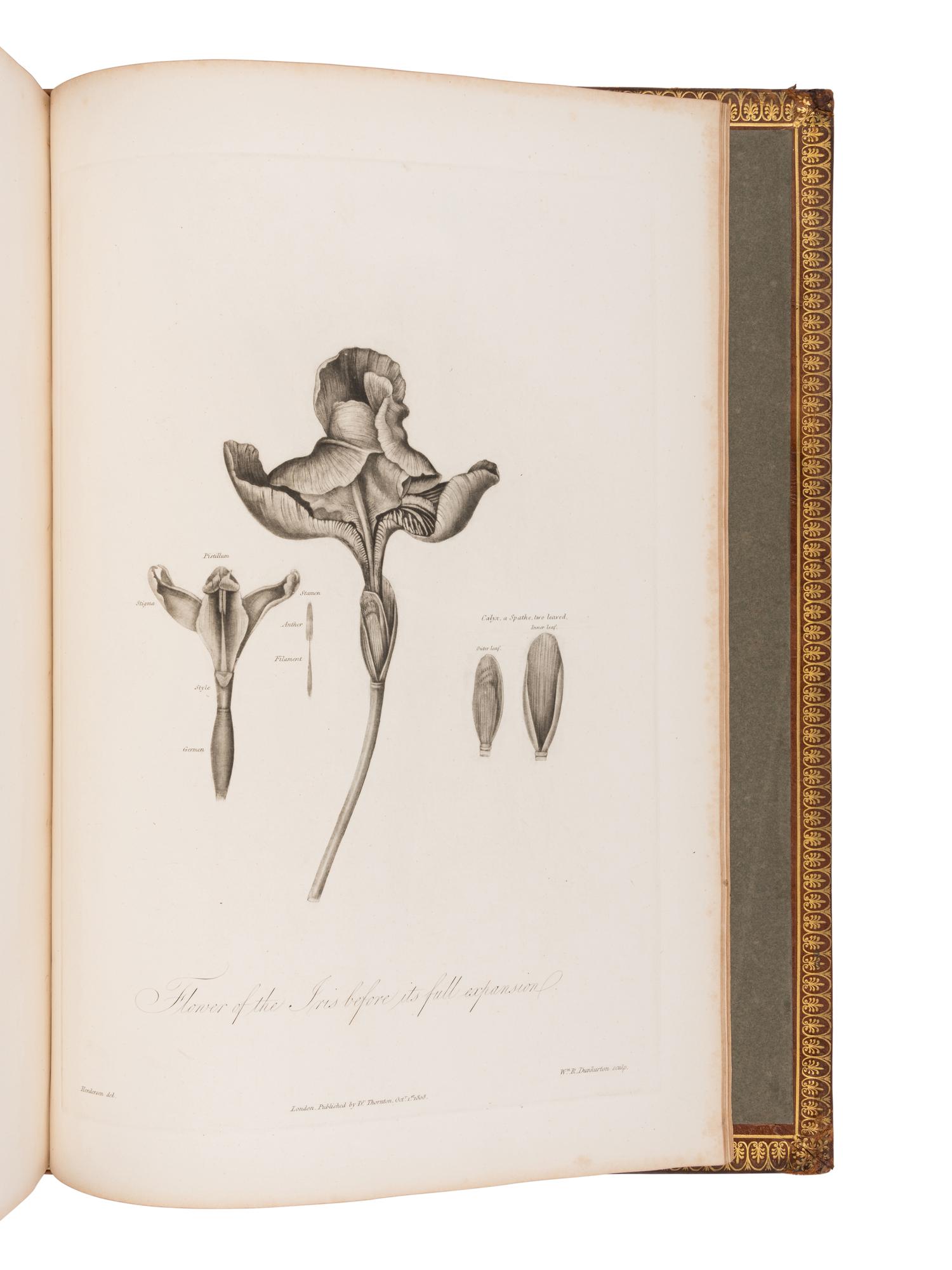 THORNTON, Robert John (1768-1837). The Philosophy of Botany . London: T. Bensley for the publishers, White, Johnson and Co. ...and the author, [1799]-1810.