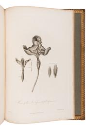 THORNTON, Robert John (1768-1837). The Philosophy of Botany . London: T. Bensley for the publishers, White, Johnson and Co. ...and the author, [1799]-1810.