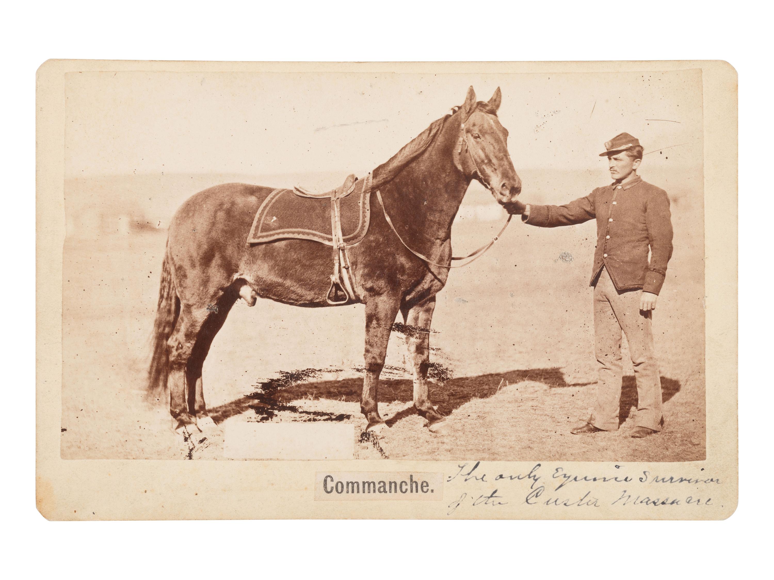 BARRY, David. F. (1854-1934), photographer. Cabinet card of Comanche, sole survivor of the Battle of Little Bighorn. Bismarck and Standing Rock, Dakota Territory.