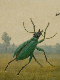 To Shoot a Beetle, 1964