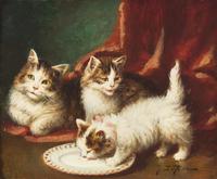 Famille de Chats