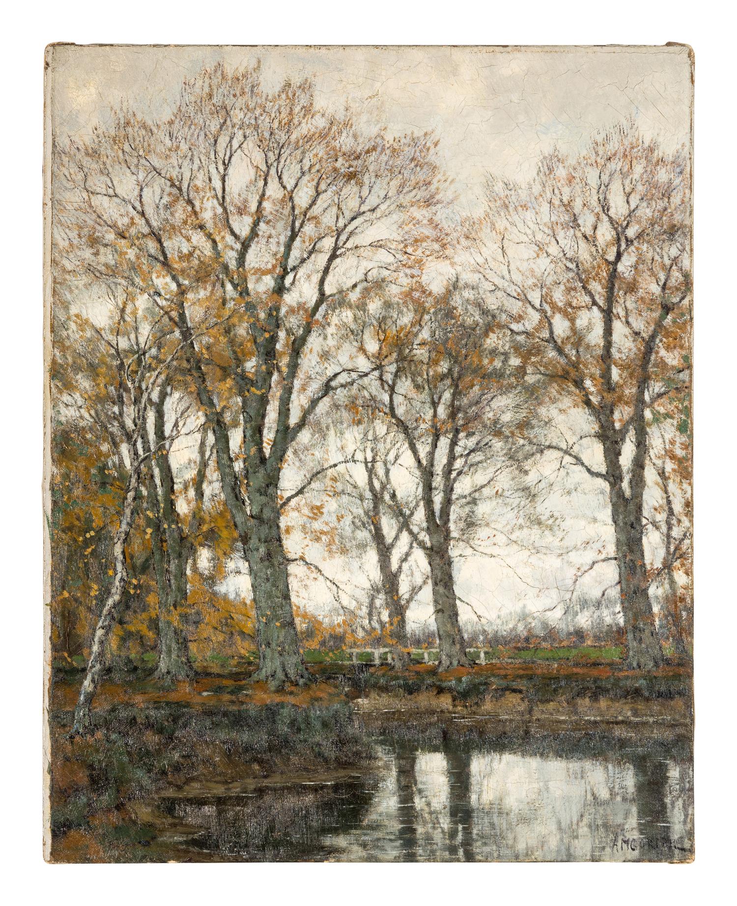 A Lake in the Forest