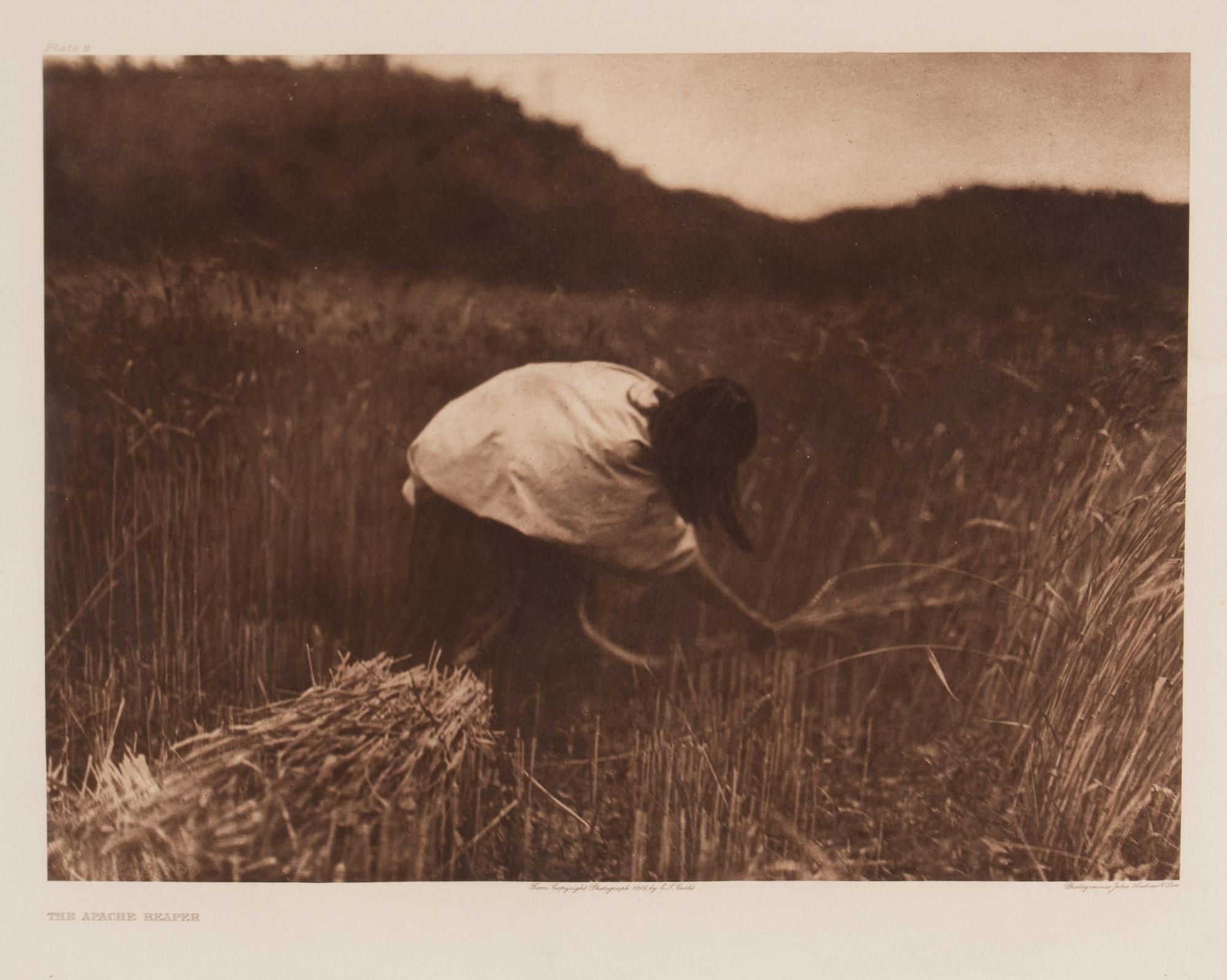 The Apache Reaper, Plate 8