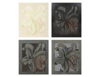 Lilies (four works), 1988