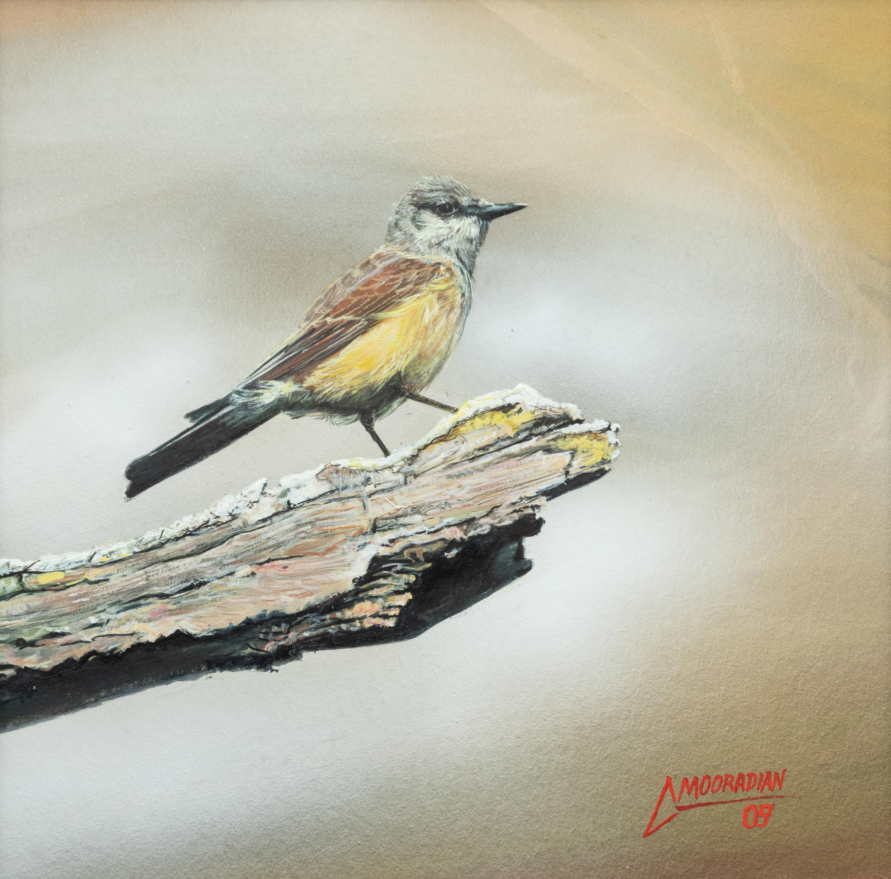 Western Kingbird , 2009