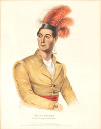 Four Hand-Colored Lithographs by McKenney and Hall
