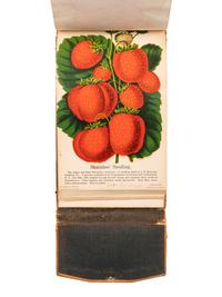 [SALESMAN'S CATALOGUE]. DEWEY, D. M. The Nurseryman's Specimen Book of American Horticulture and Floriculture, Fruits, Flowers, Ornamental Trees, Shrubs, Roses, &c . N.p., n.d. [ca 1880s?].