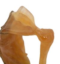 A Daum Pâte de Verre Venus de Milo Hysterique Sculpture