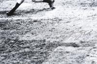 A Group of Joe DiMaggio Signed Autograph Items (Beckett Authentication Services BAS Certified),