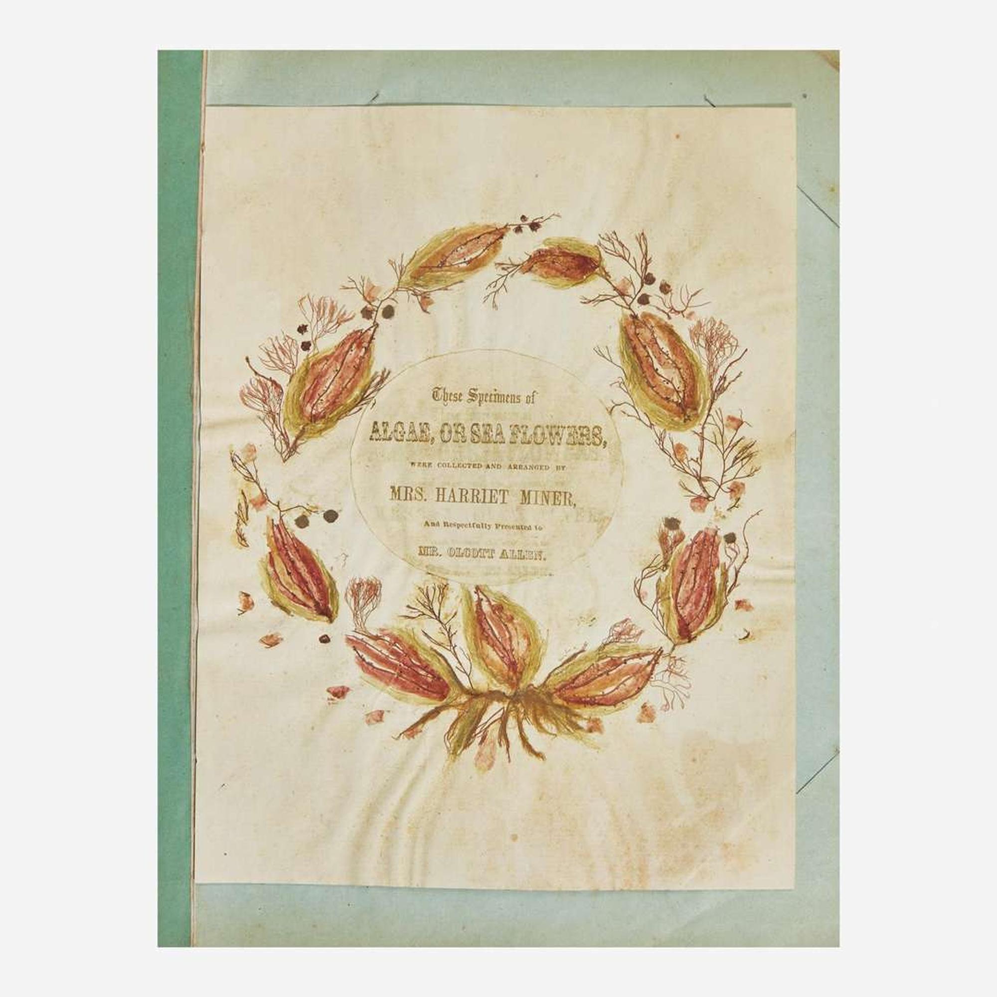 [Curiosa] Miner, Harriet 19th Century Seaweed Specimen Album