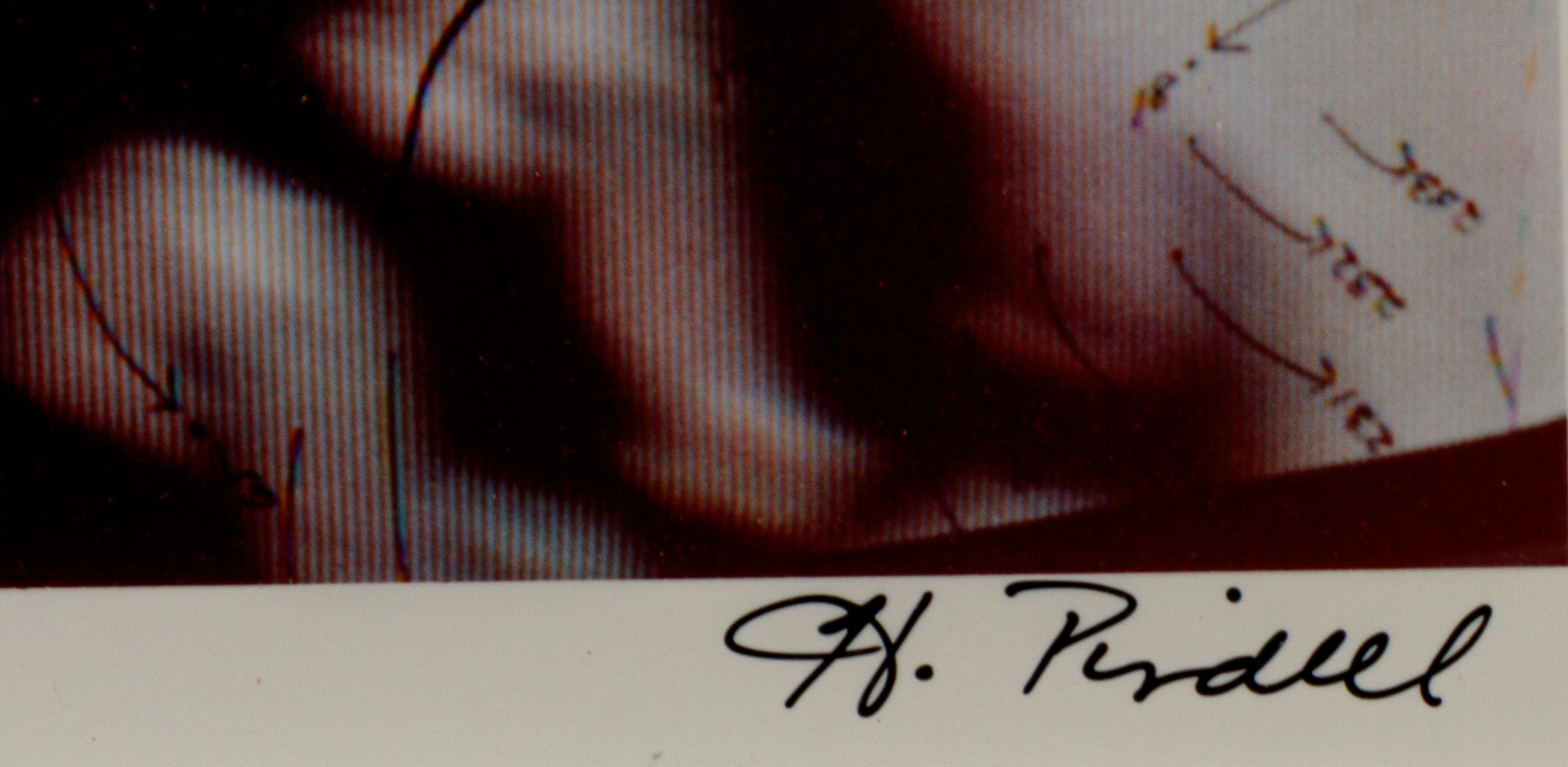 Video Drawing: Hockey Series, 1973-1976
