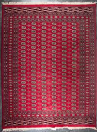 A Bokhara Wool Rug 10 feet 3 inches x 8 feet 3 inches. — SECOND HALF 20TH CENTURY